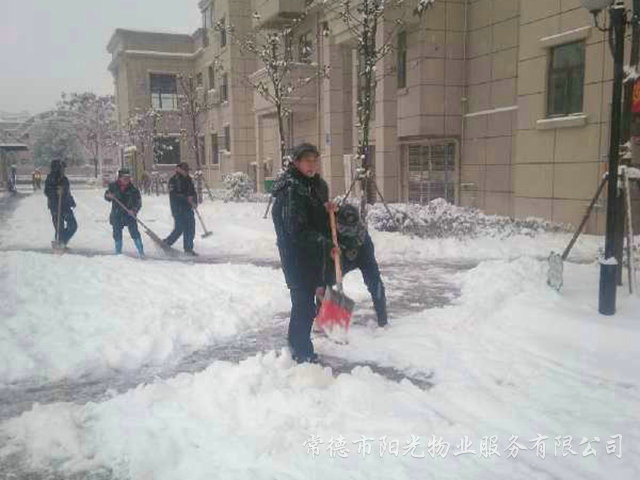 確保業(yè)主出行冰災(zāi)除雪